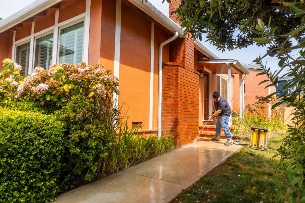 Best Local Pressure Washing Services  in Murfreesboro, NC
